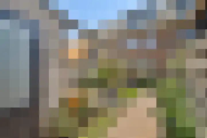Vlinderslag 22 Zuidoostbeemster thumbnail 19