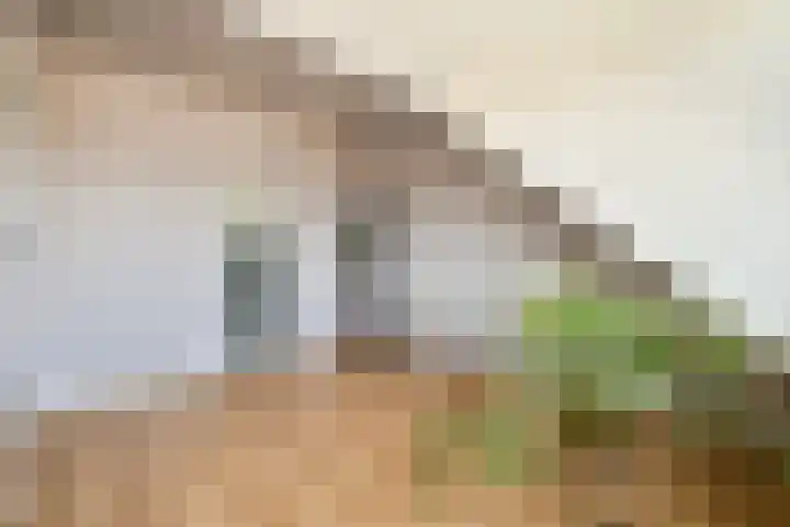 Vlinderslag 22 Zuidoostbeemster thumbnail 31