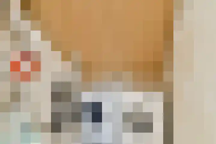 Vlinderslag 22 Zuidoostbeemster thumbnail 33