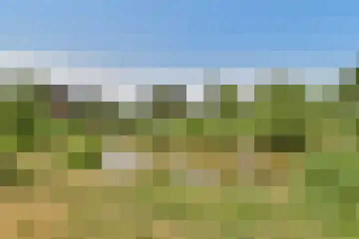 Vlinderslag 22 Zuidoostbeemster thumbnail 34