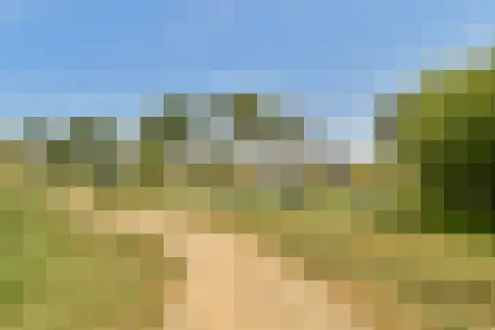Vlinderslag 22 Zuidoostbeemster thumbnail 35