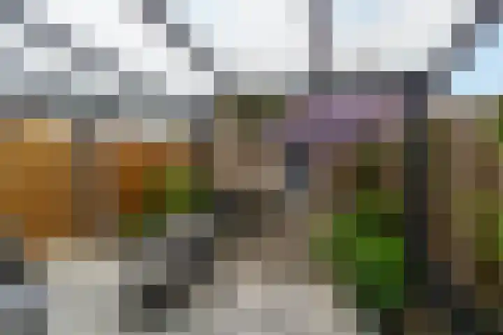 Vlinderslag 28 Almkerk thumbnail 26