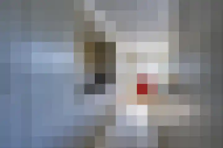 Vlinderslag 3 Almkerk thumbnail 16
