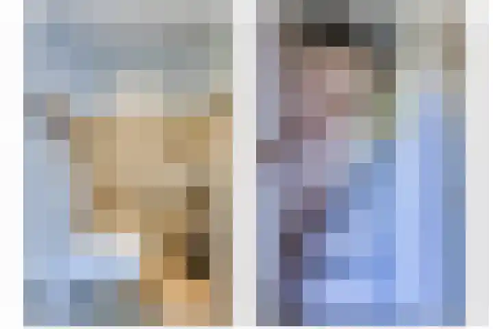 Vlinderslag 3 Almkerk thumbnail 17