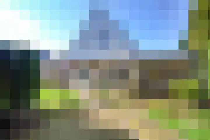 Vlinderslag 3 Almkerk thumbnail 30