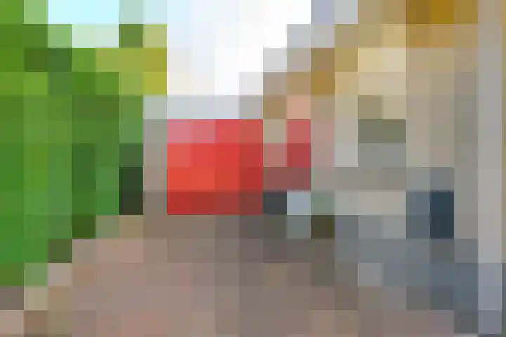 Vlinderslag 3 Almkerk thumbnail 6