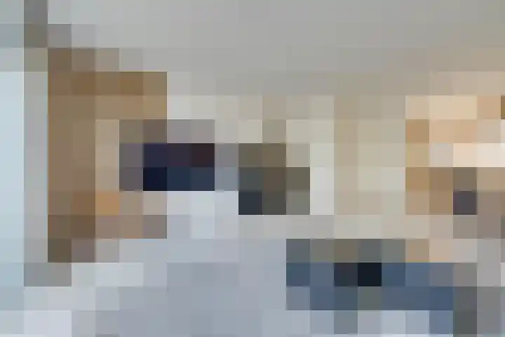Vlinderslag 39 Zuidoostbeemster thumbnail 12