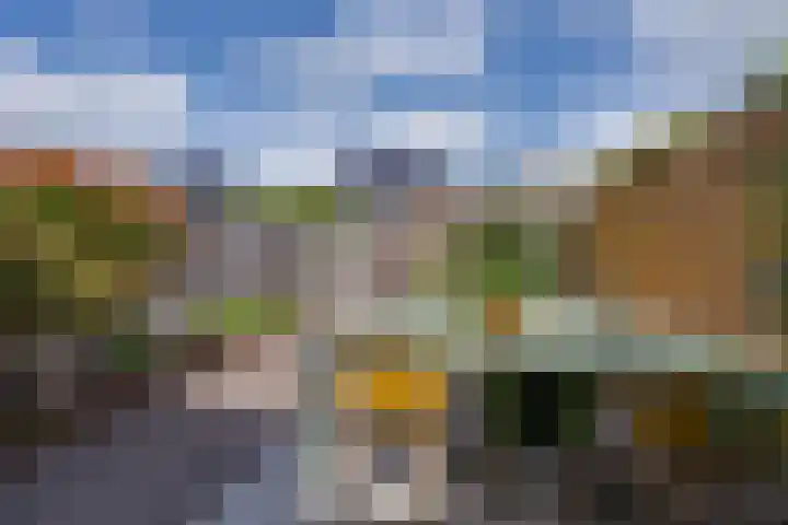 Vlinderslag 39 Zuidoostbeemster thumbnail 14