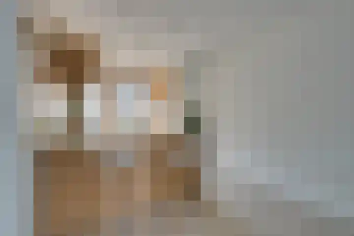 Vlinderslag 39 Zuidoostbeemster thumbnail 19