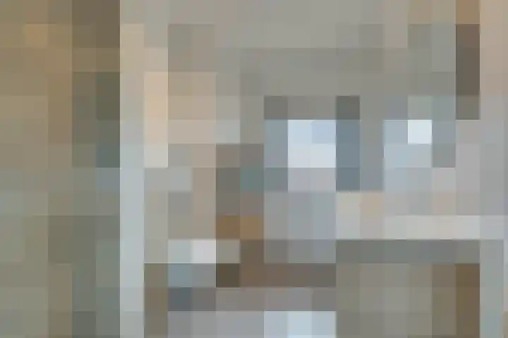 Vlinderslag 39 Zuidoostbeemster thumbnail 32