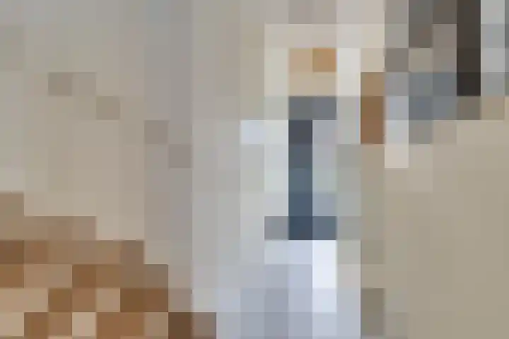 Vlinderslag 39 Zuidoostbeemster thumbnail 5