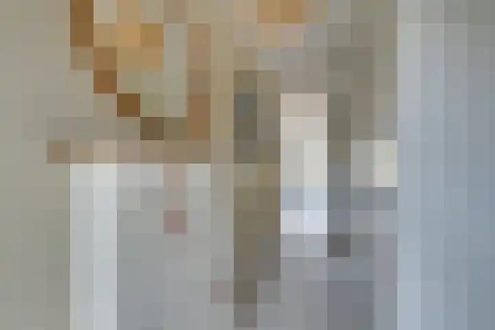 Vlinderslag 39 Zuidoostbeemster thumbnail 6