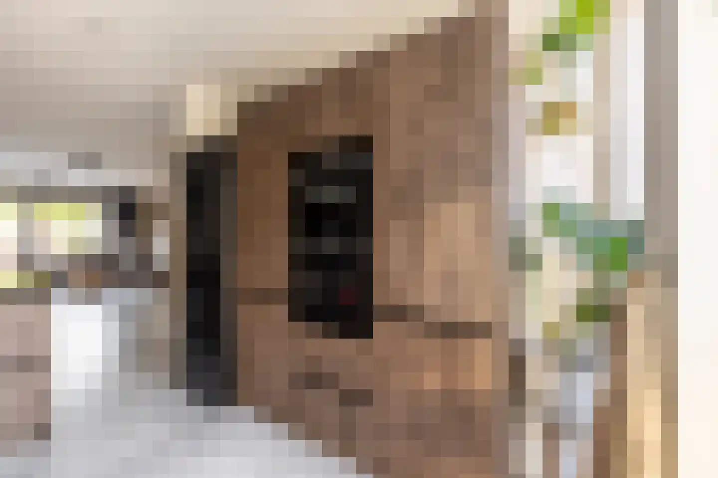 Vlinderslag 41 Zuidoostbeemster thumbnail 15