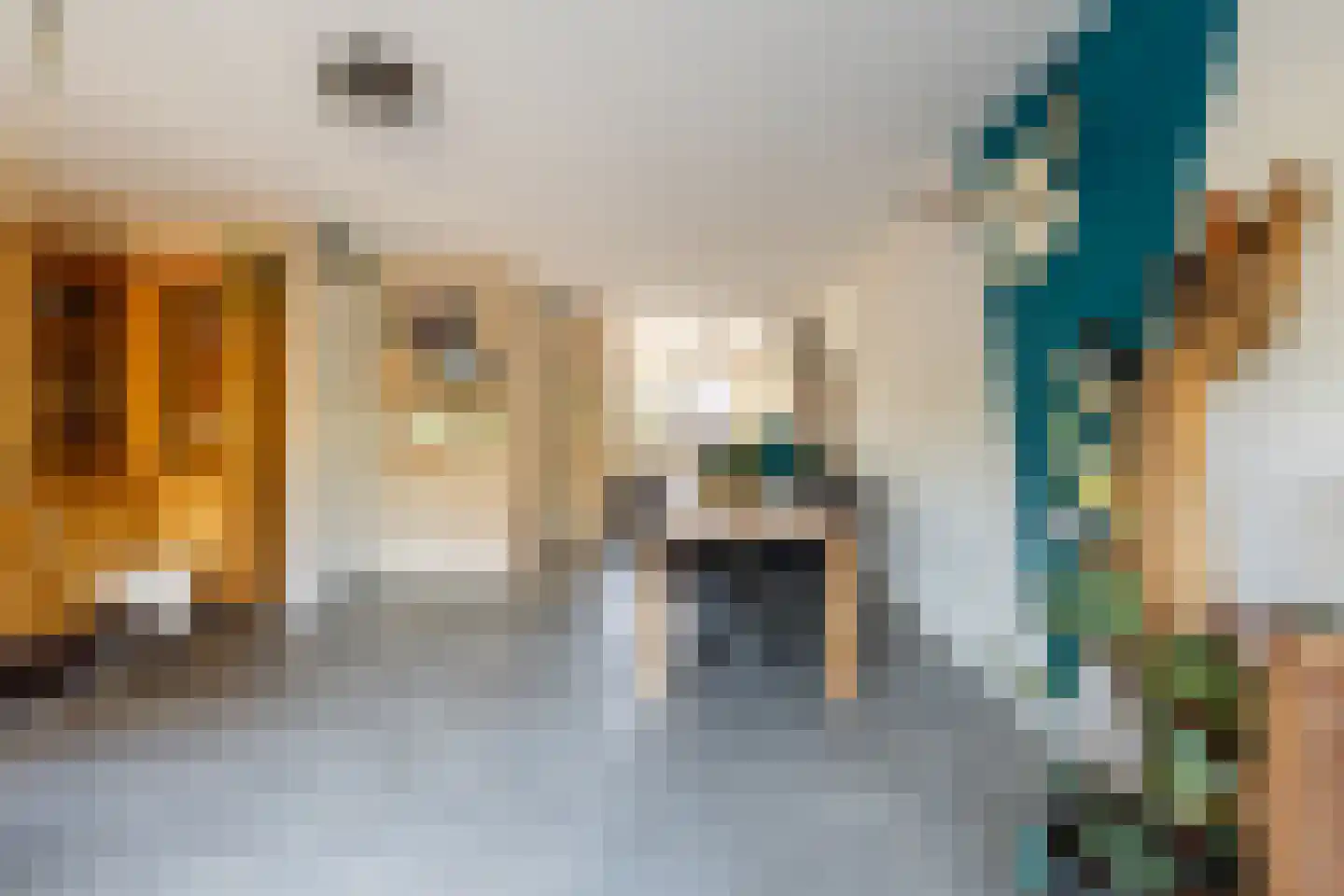 Vlinderslag 41 Zuidoostbeemster thumbnail 20