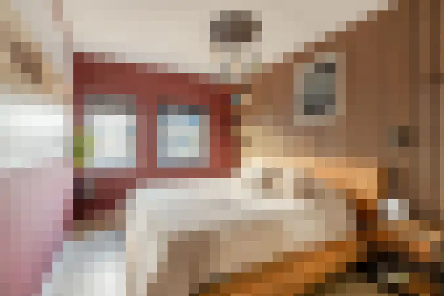 Vlinderslag 41 Zuidoostbeemster thumbnail 26