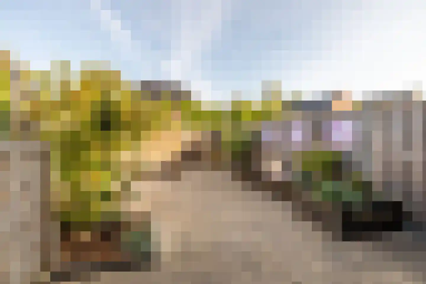 Vlinderslag 41 Zuidoostbeemster thumbnail 39