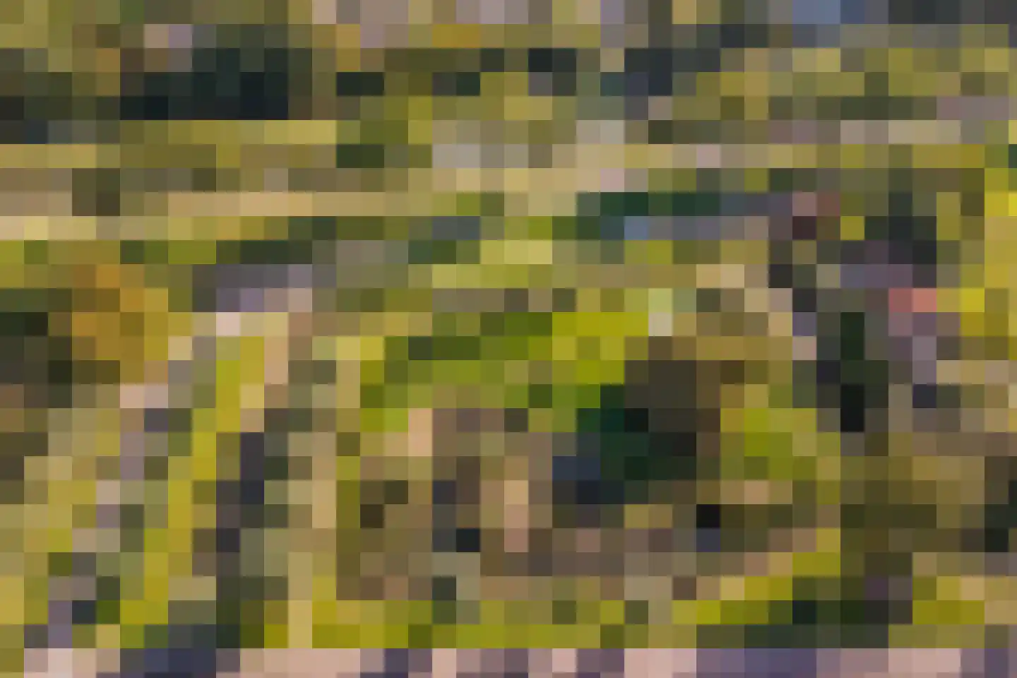 Vlinderslag 41 Zuidoostbeemster thumbnail 47