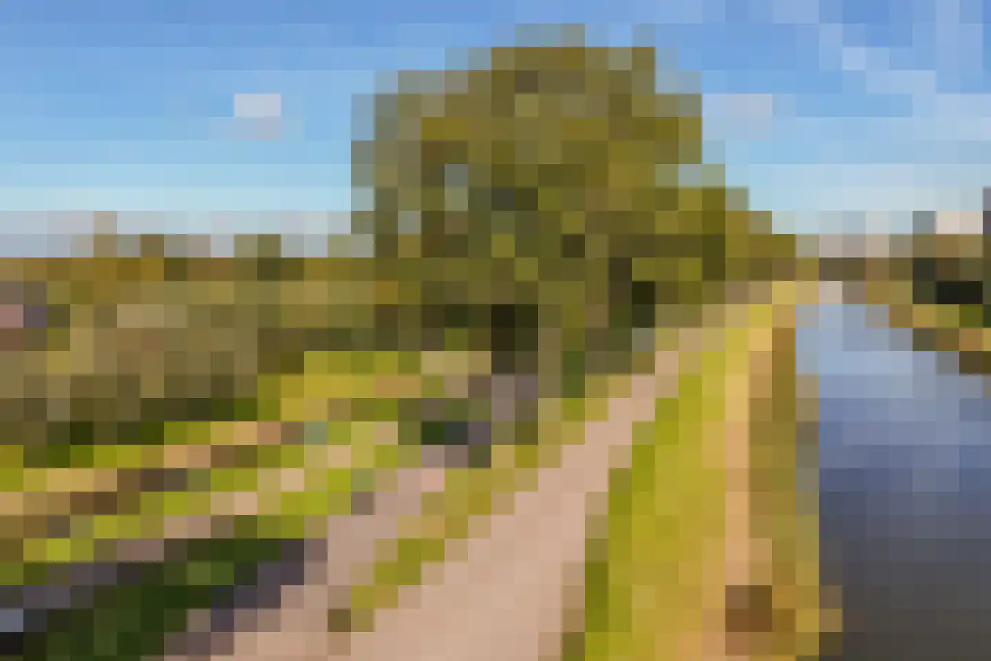 Vlinderslag 41 Zuidoostbeemster thumbnail 48