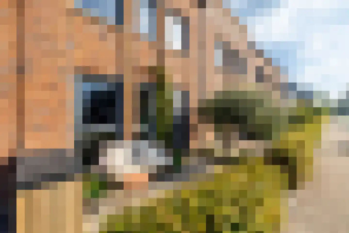 Vlinderslag 41 Zuidoostbeemster thumbnail 8