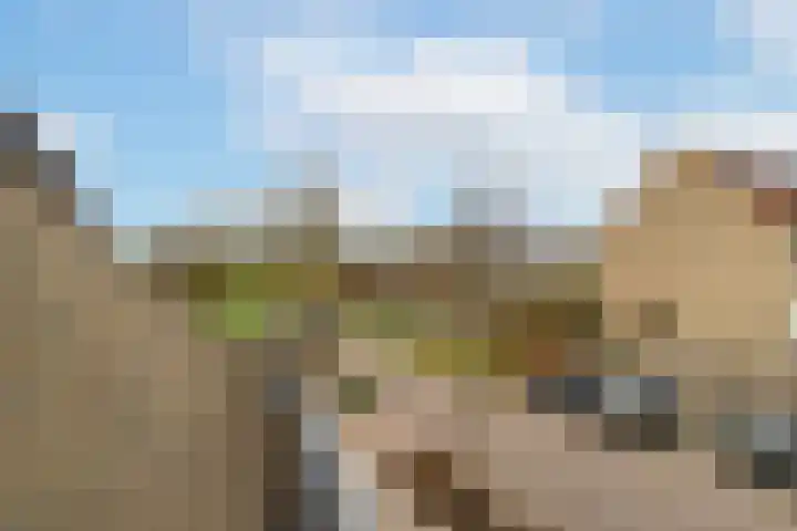 Vlinderslag 52 Almkerk thumbnail 18