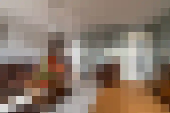 Vlinderslag 52 Almkerk thumbnail 8
