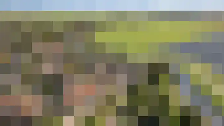 Vlinderslag 54 Almkerk thumbnail 10