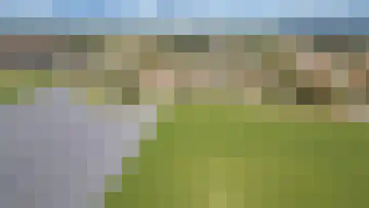 Vlinderslag 54 Almkerk thumbnail 13