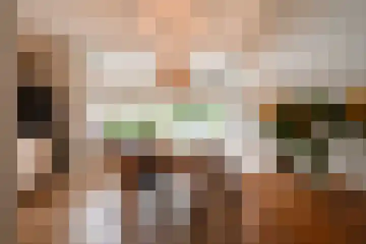 Vlinderslag 54 Almkerk thumbnail 20