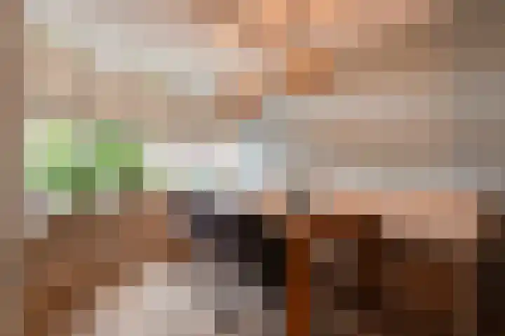 Vlinderslag 54 Almkerk thumbnail 21