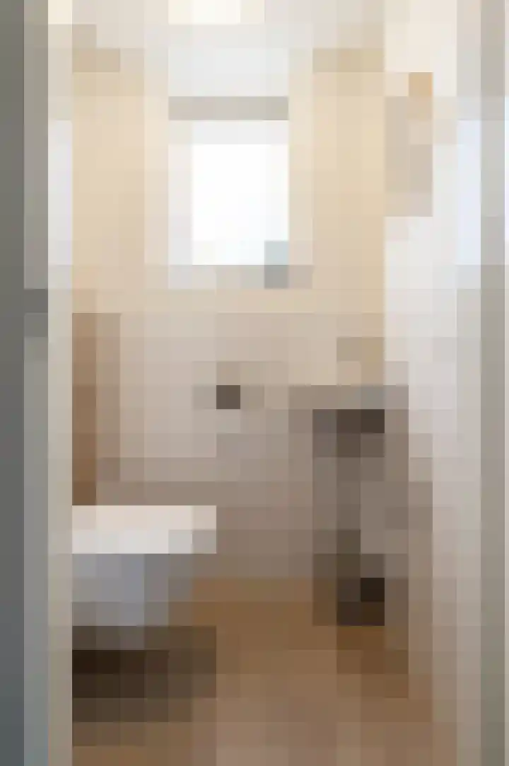 Vlinderslag 54 Almkerk thumbnail 25
