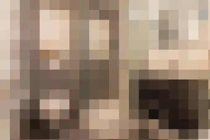 Vlinderslag 54 Almkerk thumbnail 31
