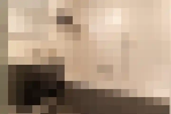 Vlinderslag 54 Almkerk thumbnail 32