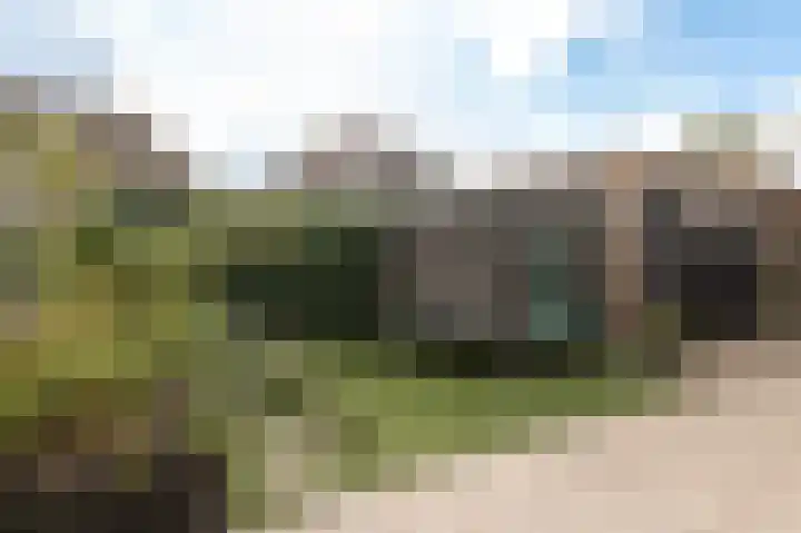 Vlinderslag 54 Almkerk thumbnail 4