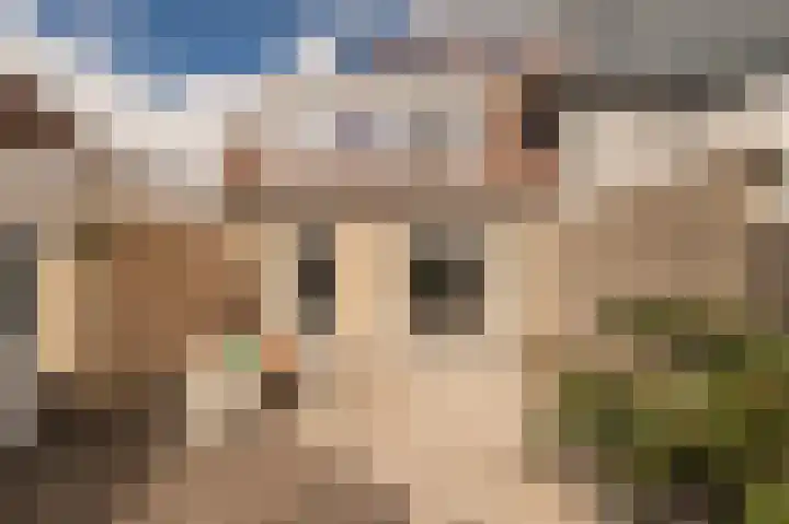 Vlinderslag 54 Almkerk thumbnail 42