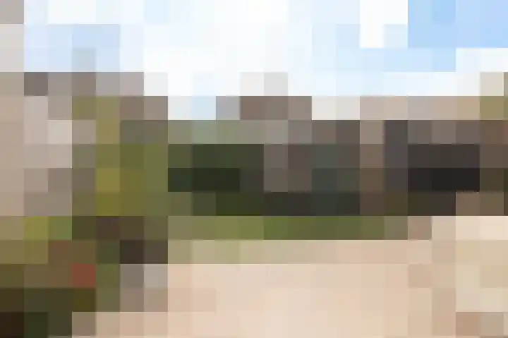 Vlinderslag 54 Almkerk thumbnail 43