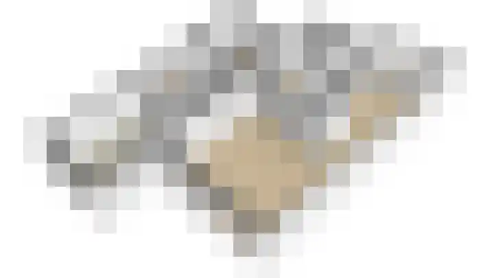 Vlinderslag 54 Almkerk thumbnail 48