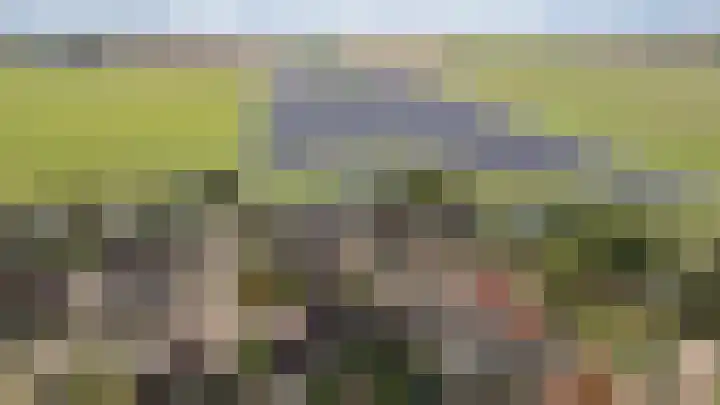 Vlinderslag 54 Almkerk thumbnail 5