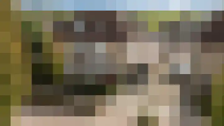 Vlinderslag 54 Almkerk thumbnail 6