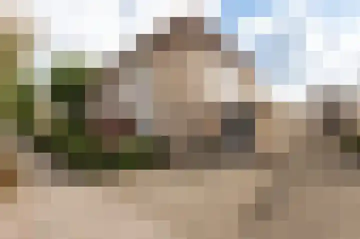 Vlinderslag 54 Almkerk thumbnail 8