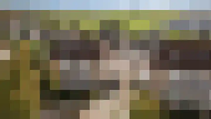 Vlinderslag 54 Almkerk thumbnail 9