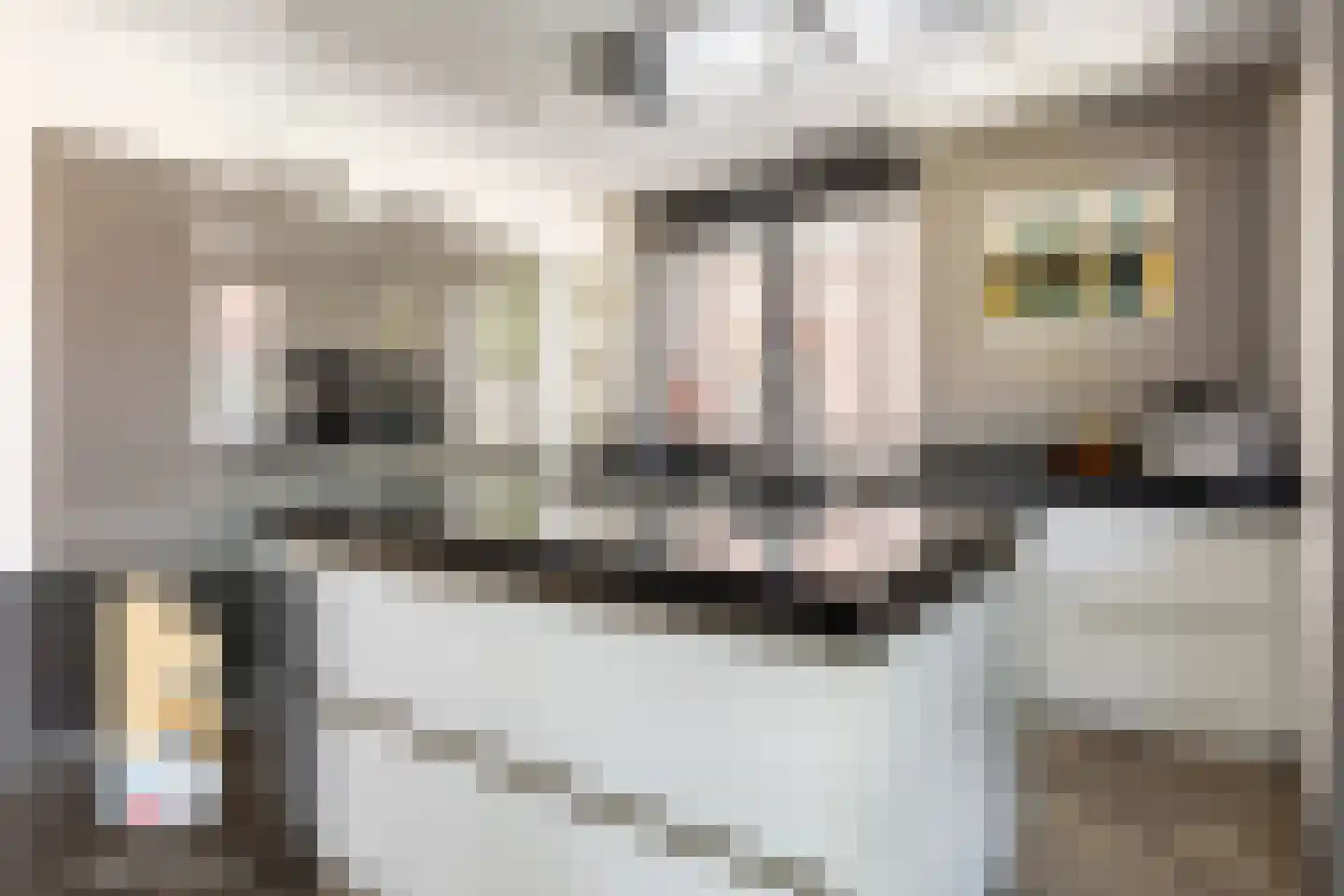 Vlinderslag 66 Oostvoorne thumbnail 15