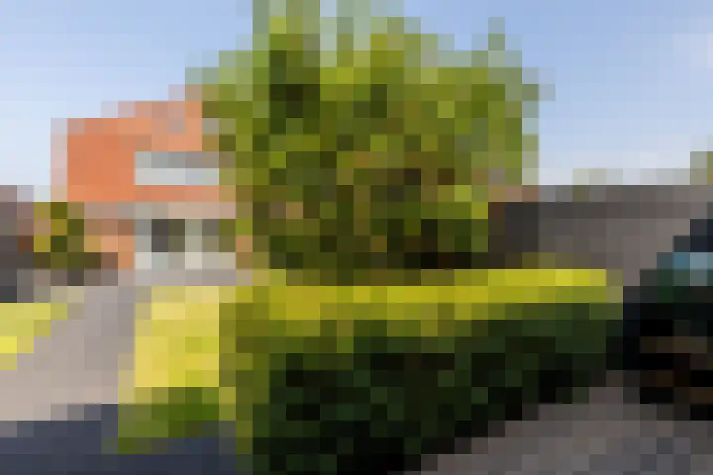 Vlinderslag 66 Oostvoorne thumbnail 36