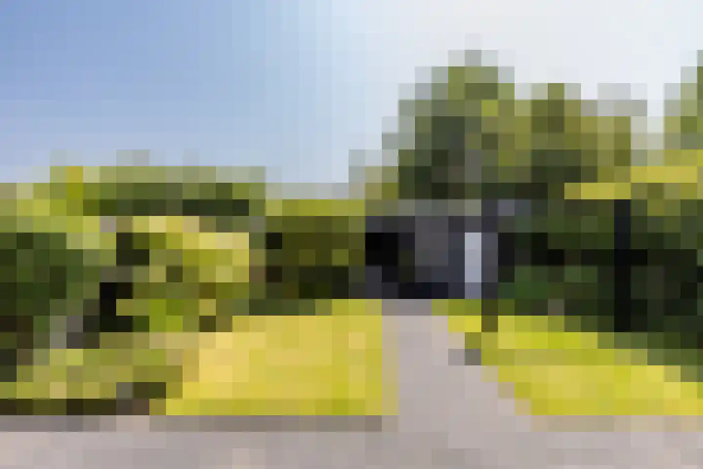 Vlinderslag 66 Oostvoorne thumbnail 38