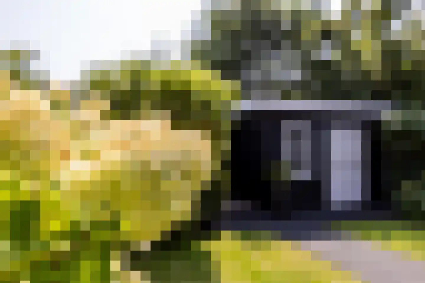 Vlinderslag 66 Oostvoorne thumbnail 39