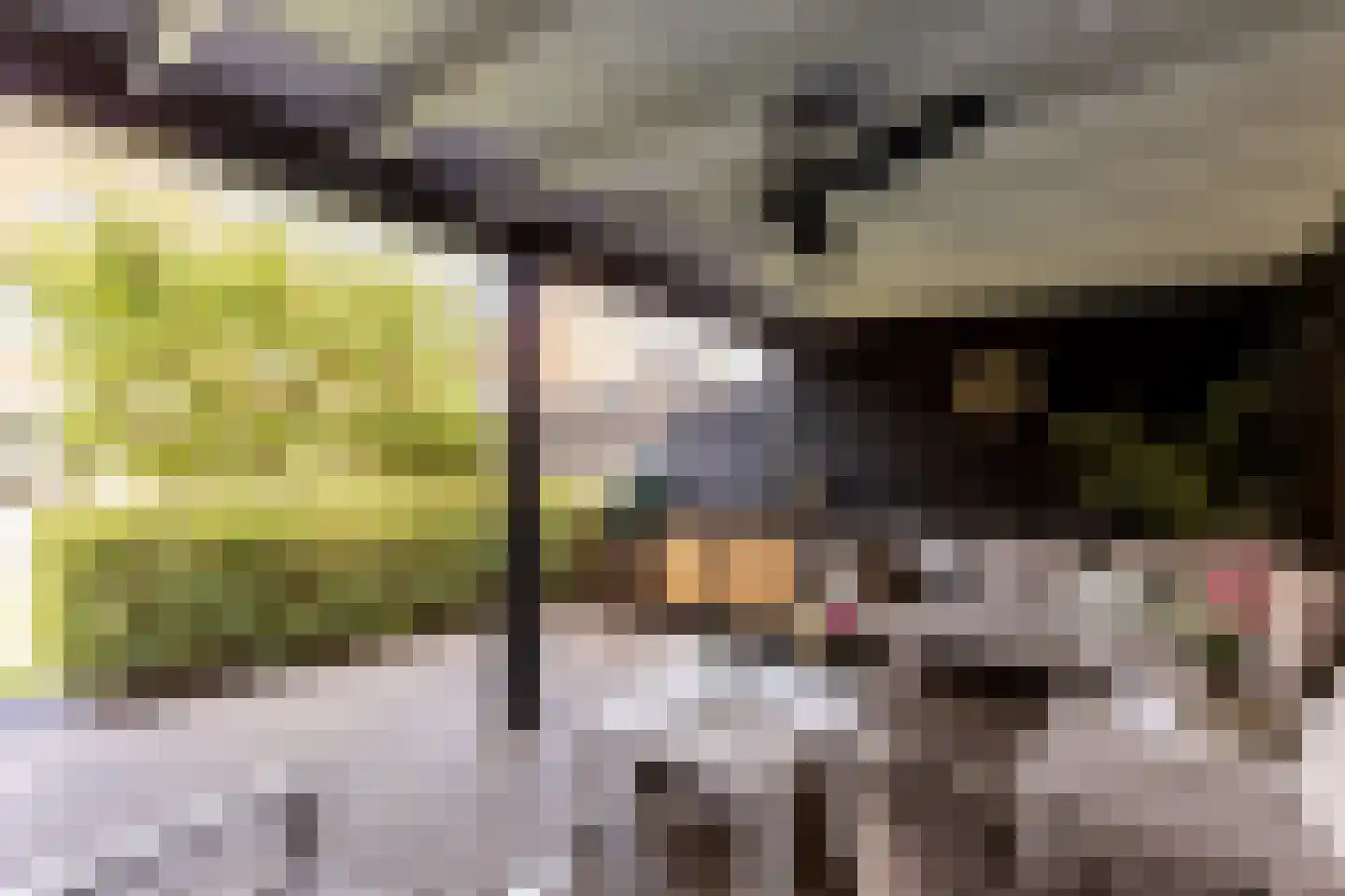 Vlinderslag 66 Oostvoorne thumbnail 41