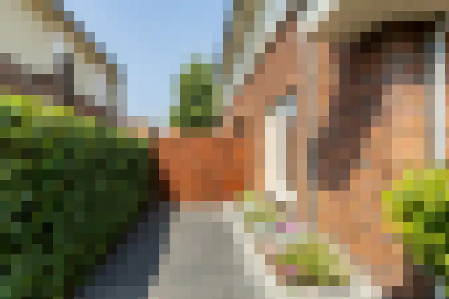 Vlinderslag 66 Oostvoorne thumbnail 43