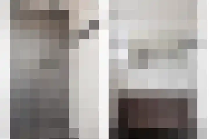 Vlinderstraat 25 Oss thumbnail 18