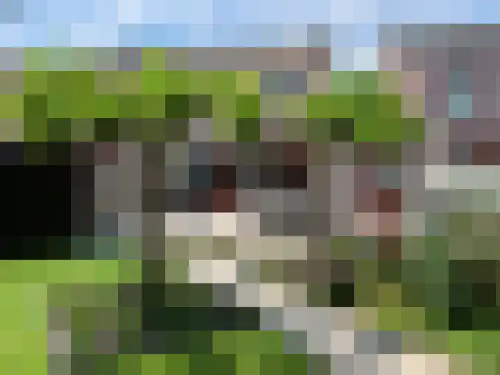 Vlinderstraat 25 Oss thumbnail 24