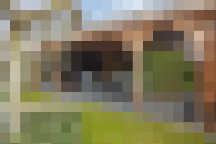Vlinderstraat 25 Oss thumbnail 27