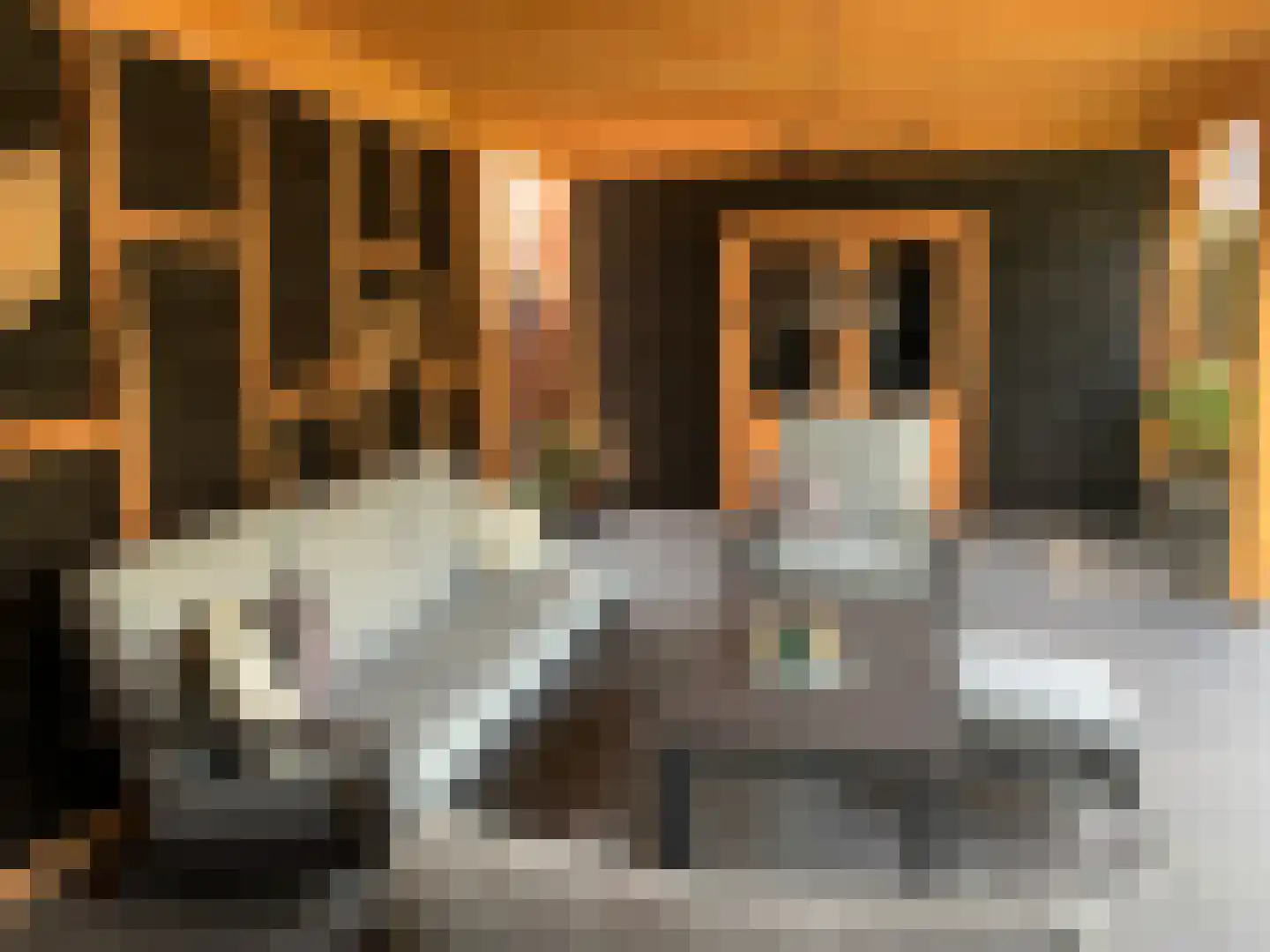 Vlinderstraat 25 Oss thumbnail 28